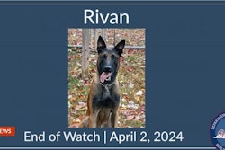 Virginia Department of Corrections K-9 Rivan was killed Tuesday while protecting his handler from an attack by MS-13 gang members.