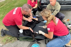 The Operational K9 Medical Team teaches students how to handle emergency situations with K9s.