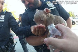 NYPD officers give water to an overheated puppy Saturday. The officers rescues six distressed puppies from a bag. The owner had tied them into the bag and was trying to sell them on the sidewalk.