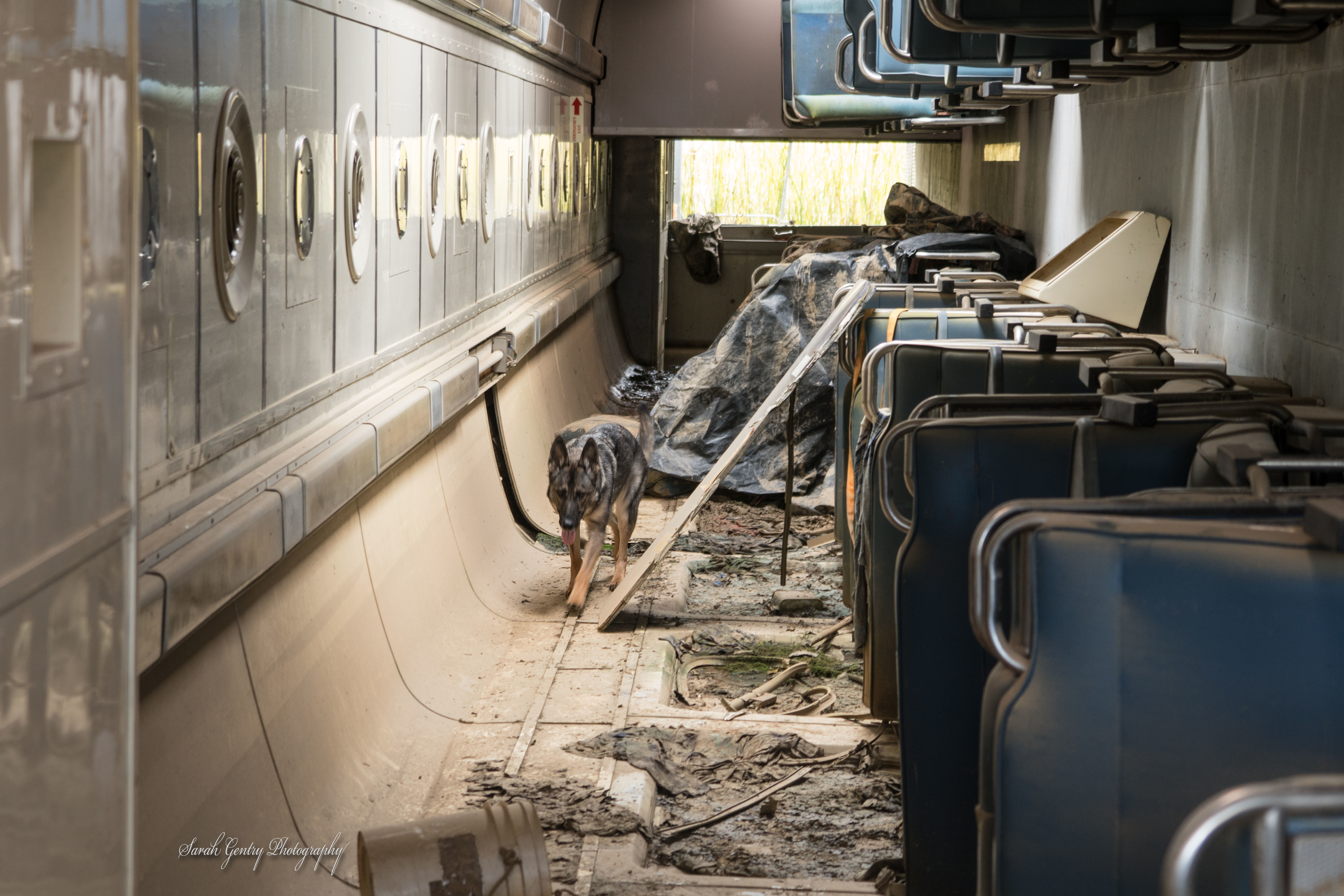 Besa is trained to detect concealed humans wherever they are hidden.