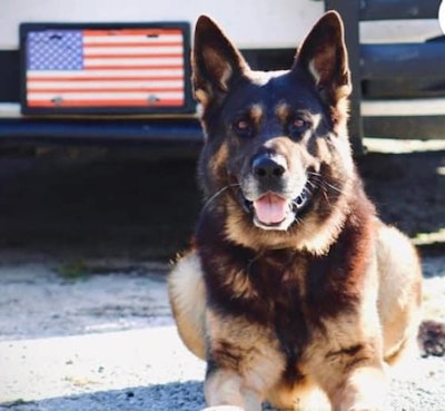 K-9 Archer of the Marion County (Florida) Sheriff's Office died Friday after an on-duty heat injury.