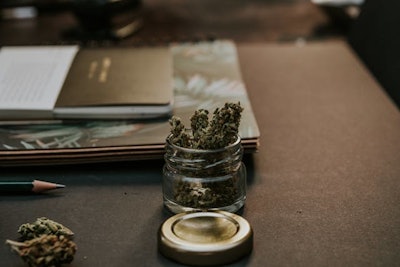 Dogs trained to detect marijuana cannot distinguish between medical marijuana and illegal versions of the drug.