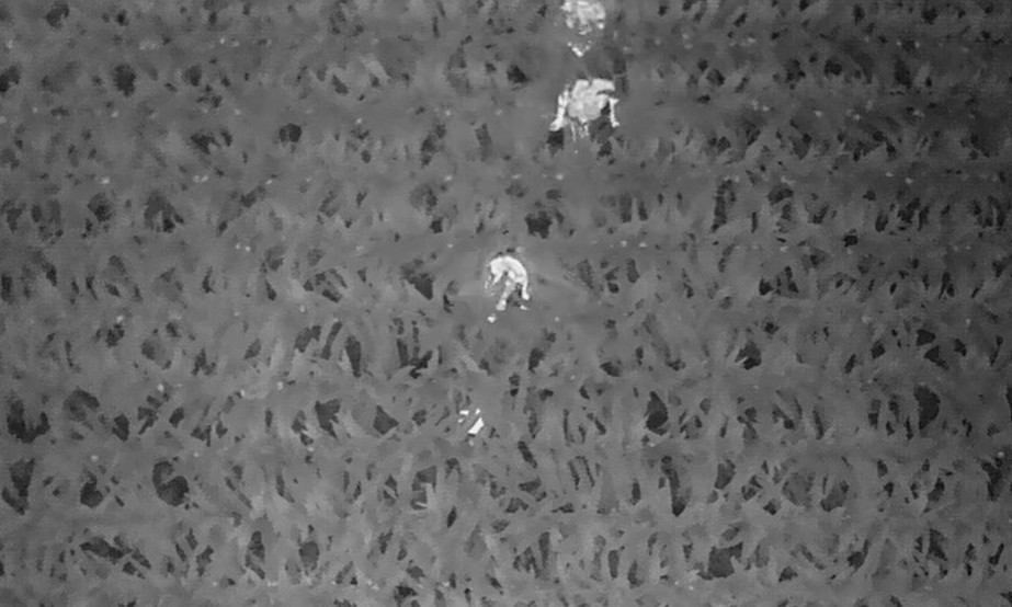 Deputies and firefighters are directed to a missing child by a drone operator using thermal imaging. The cornfield spanned more than 100 acres, and the child was missing at night.