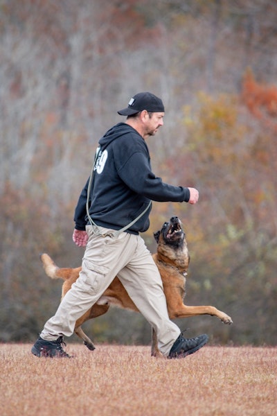 Jerry Bradshaw's life took a transformative turn when he acquired a dog for security. Attending obedience classes with his first dog sparked a deep love for dog training, ultimately leading him to establish a prestigious training facility for police dogs.