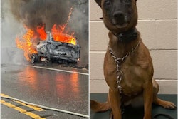 On Sept. 14 a Pickens County (Alabama) Sheriff's deputy saw that his patrol vehicle was about to burn. He reacted quickly to get his K-9 partner named Zuna to safety.