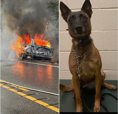 On Sept. 14 a Pickens County (Alabama) Sheriff's deputy saw that his patrol vehicle was about to burn. He reacted quickly to get his K-9 partner named Zuna to safety.