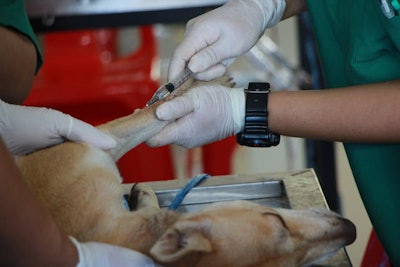 Research shows working dogs that did not received care in the field were 3.55 times more likely to die than K9s that received care before transport.