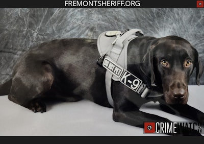 Fremont County Sheriff's K-9 Watson ran away from his handler on Oct. 1 and was found dead three days later.