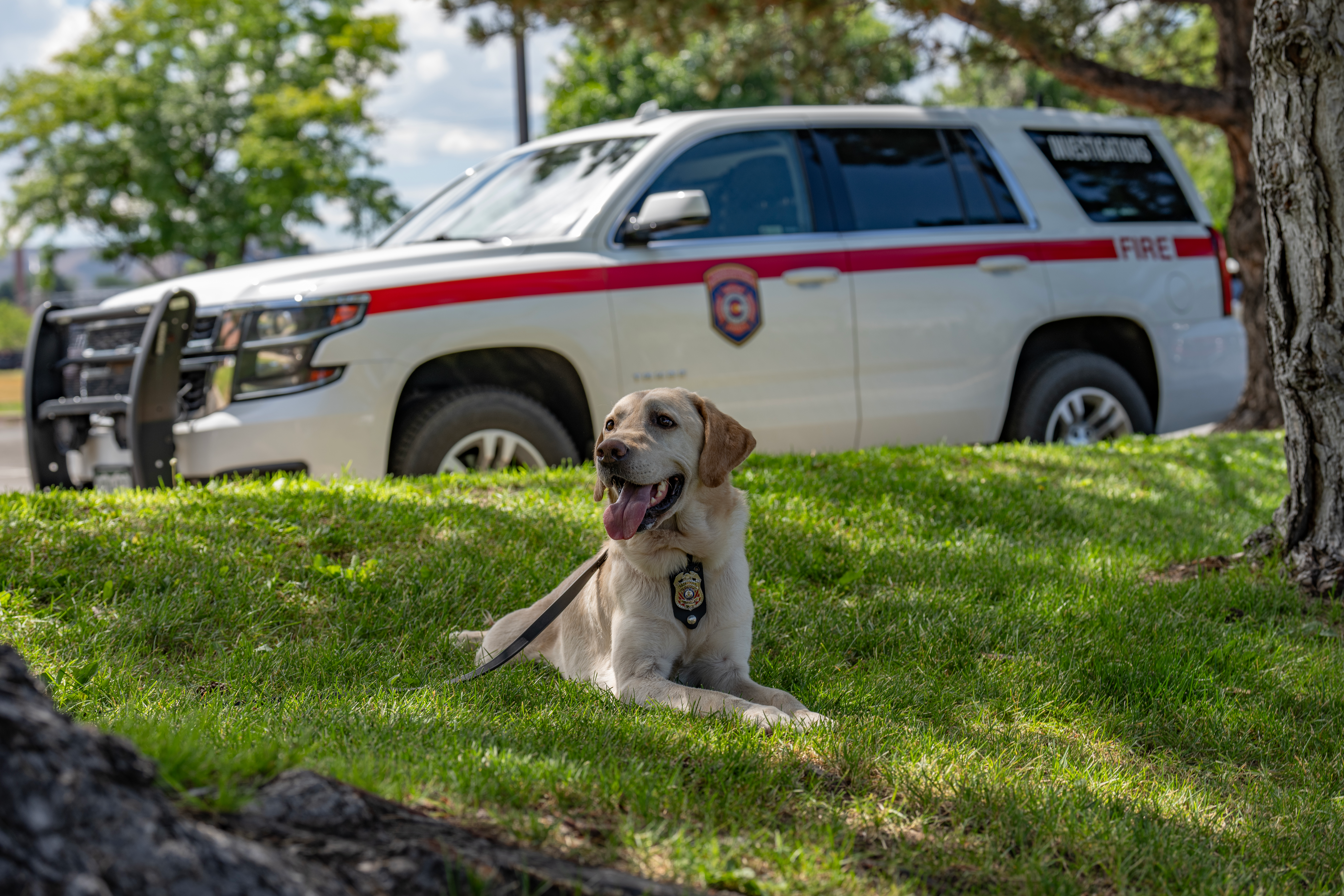 ROTC is certified as an ignitable liquid detection K9 through the Maine State Police at the Maine Criminal Justice Academy.