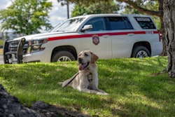 ROTC is certified as an ignitable liquid detection K9 through the Maine State Police at the Maine Criminal Justice Academy.