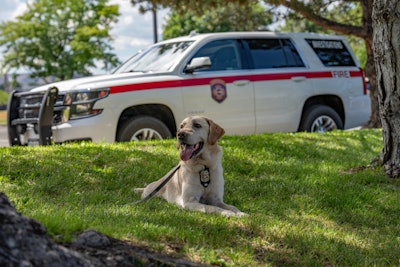 ROTC is certified as an ignitable liquid detection K9 through the Maine State Police at the Maine Criminal Justice Academy.
