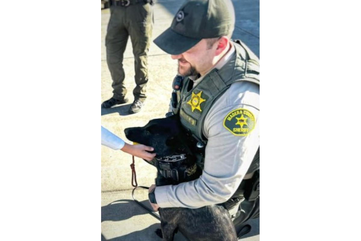 Madera County (California) Sheriff's Office K-9 Obie was shot Wednesday. He is expected to fully recover.
