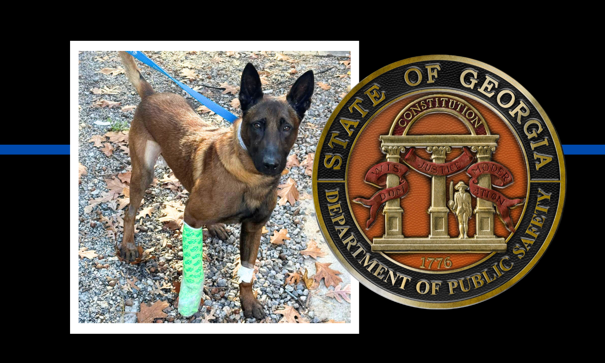 Georgia State Patrol K-9 Armor will face months of recovery after being wounded when a fleeing suspect fired shots during a car chase.
