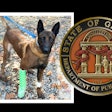Georgia State Patrol K-9 Armor will face months of recovery after being wounded when a fleeing suspect fired shots during a car chase.