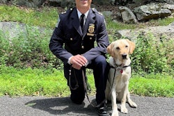 Tuckahoe (New York) Police Department added Eddie, a nearly two-year-old yellow Labrador, whose mission is to promote wellness within the department, assist victims of trauma, and foster connections with the community.
