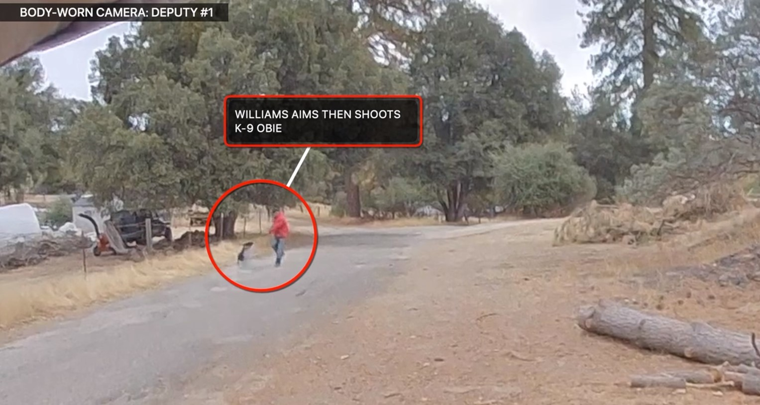 Body camera video from Madera County Sheriff's deputy's body camera. Officials say it shows the suspect shooting K-9 Obie.