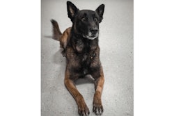 Jefferson Parish (Louisiana) Sheriff's K-9 Macho died Wednesday after a SWAT operation. He was eight years old.