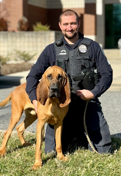 A amazing rescue of a 7-year-old child earned Bo the American Humane Hero Dog award.