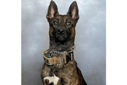 Vacaville (California) Police K-9 Murph was wounded by rifle fire Wednesday and lost his front left leg. He is expected to survive.