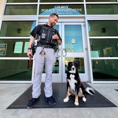 Operation Freedom Paws, founded by Mary Cortani, helped train K9 Maui for the Gilroy Police Department. Maui offers support to students and staff in the Gilroy Unified School District and lends a helping paw to city departments as part of the Critical Incident Stress Debrief and Wellness Team.