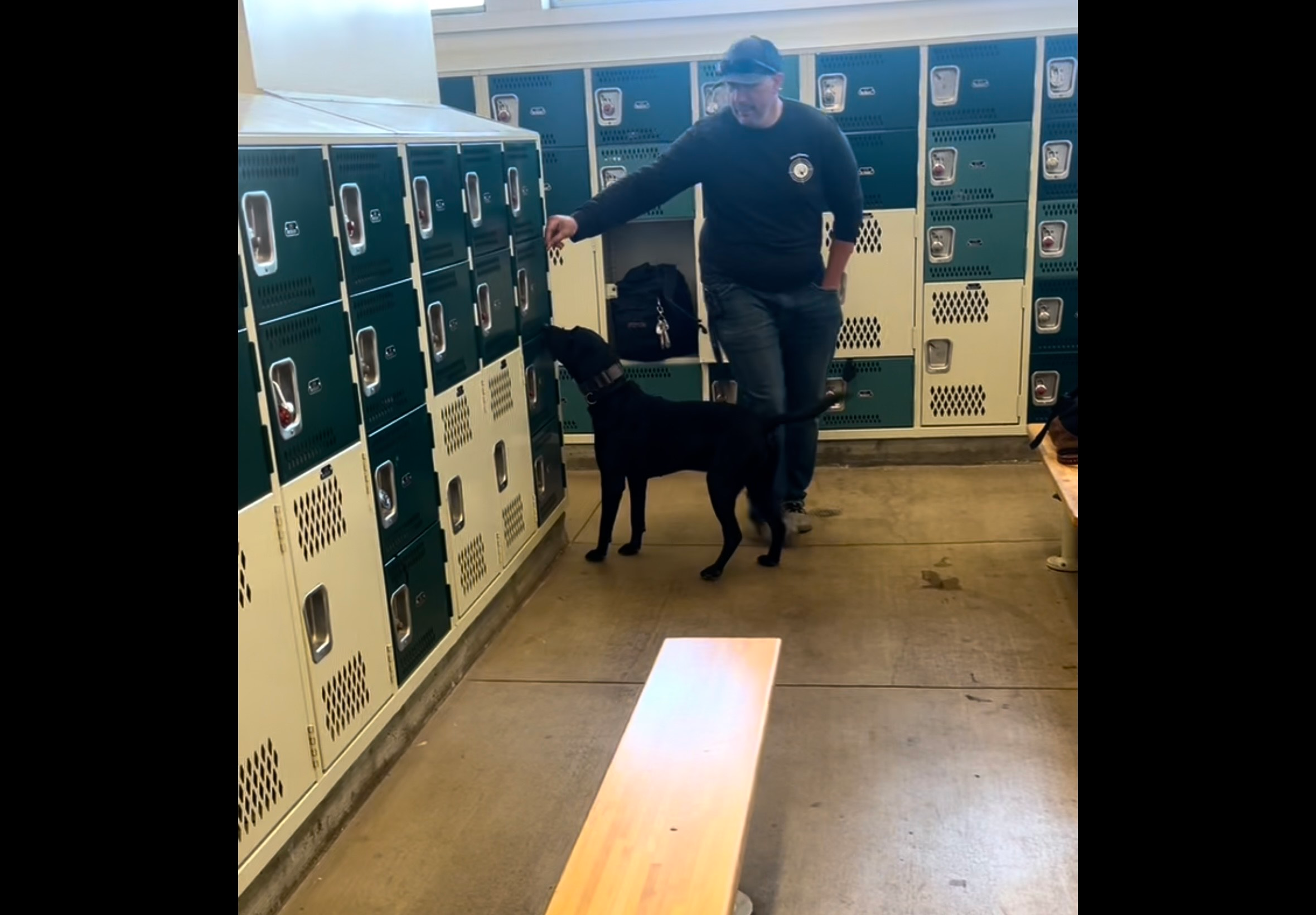 Schools that participate in Bullseye K9 Detection's program purchase a set number of “searches” per year—often averaging two searches per month.