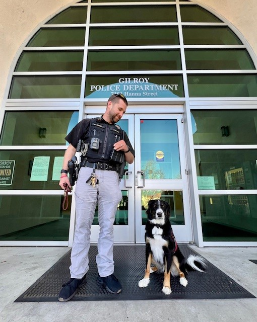 Operation Freedom Paws, founded by Mary Cortani, helped train K9 Maui for the Gilroy Police Department. Maui offers support to students and staff in the Gilroy Unified School District and lends a helping paw to city departments as part of the Critical Incident Stress Debrief and Wellness Team.