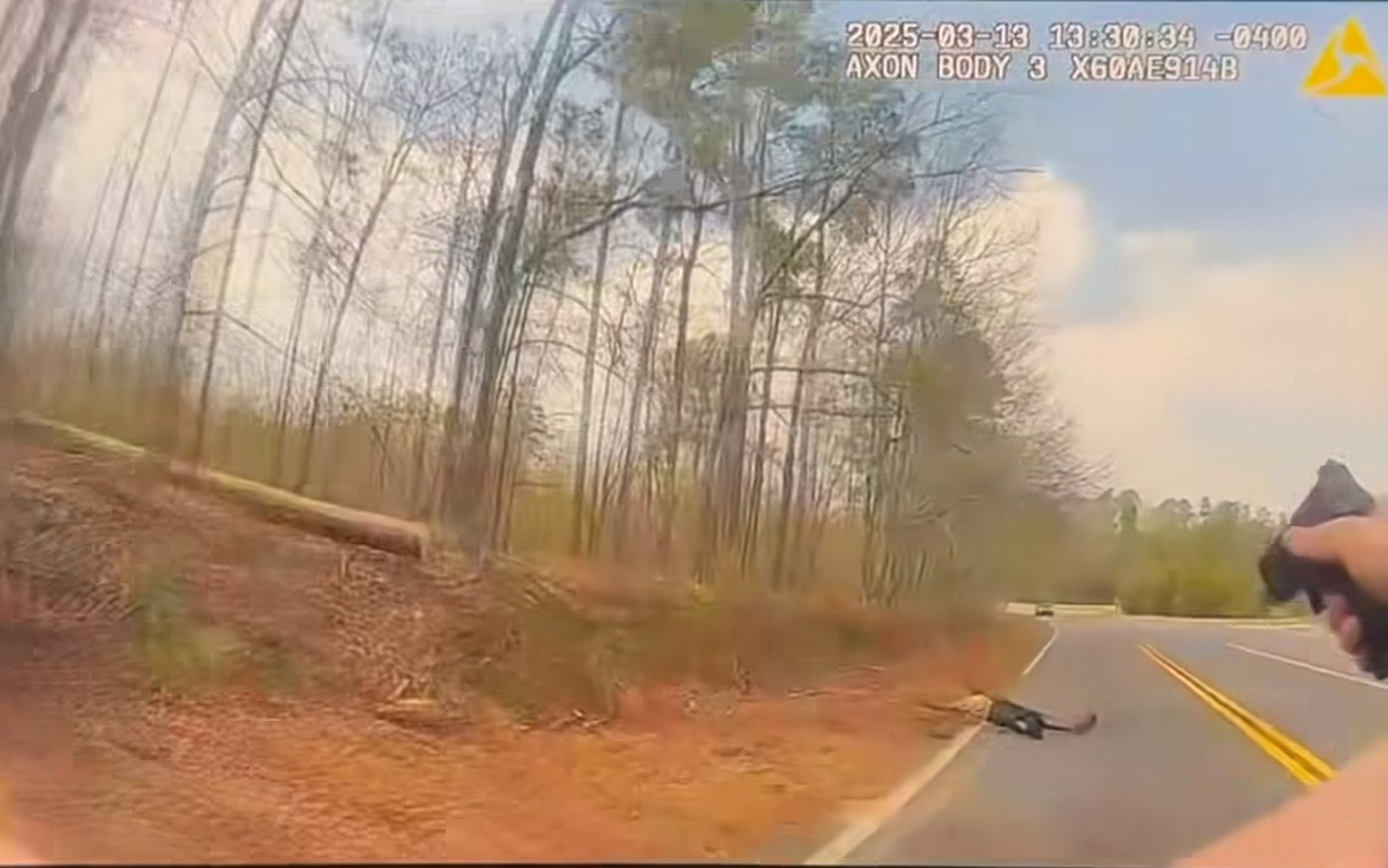 Richmond County (Georgia) Sheriff's Deputy David Hopkins advances toward the suspect after the shooting. The suspect told the deputy he wanted to die.