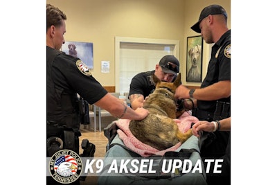 K-9 Aksel is surrounded by concerned Mt. Juliet (Tennessee) Police officers and his handler Officer Reese Harper at the animal hospital.