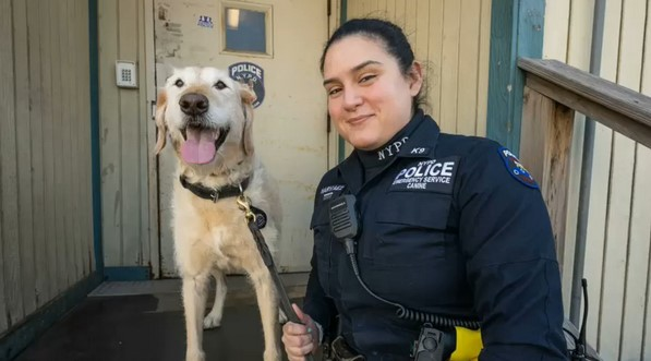 NYPD Emergency Service Unit Officer Katrina Narvaez with her partner Freddie. The K-9 was named for her father, a fallen NYPD lieutenant.