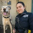 NYPD Emergency Service Unit Officer Katrina Narvaez with her partner Freddie. The K-9 was named for her father, a fallen NYPD lieutenant.