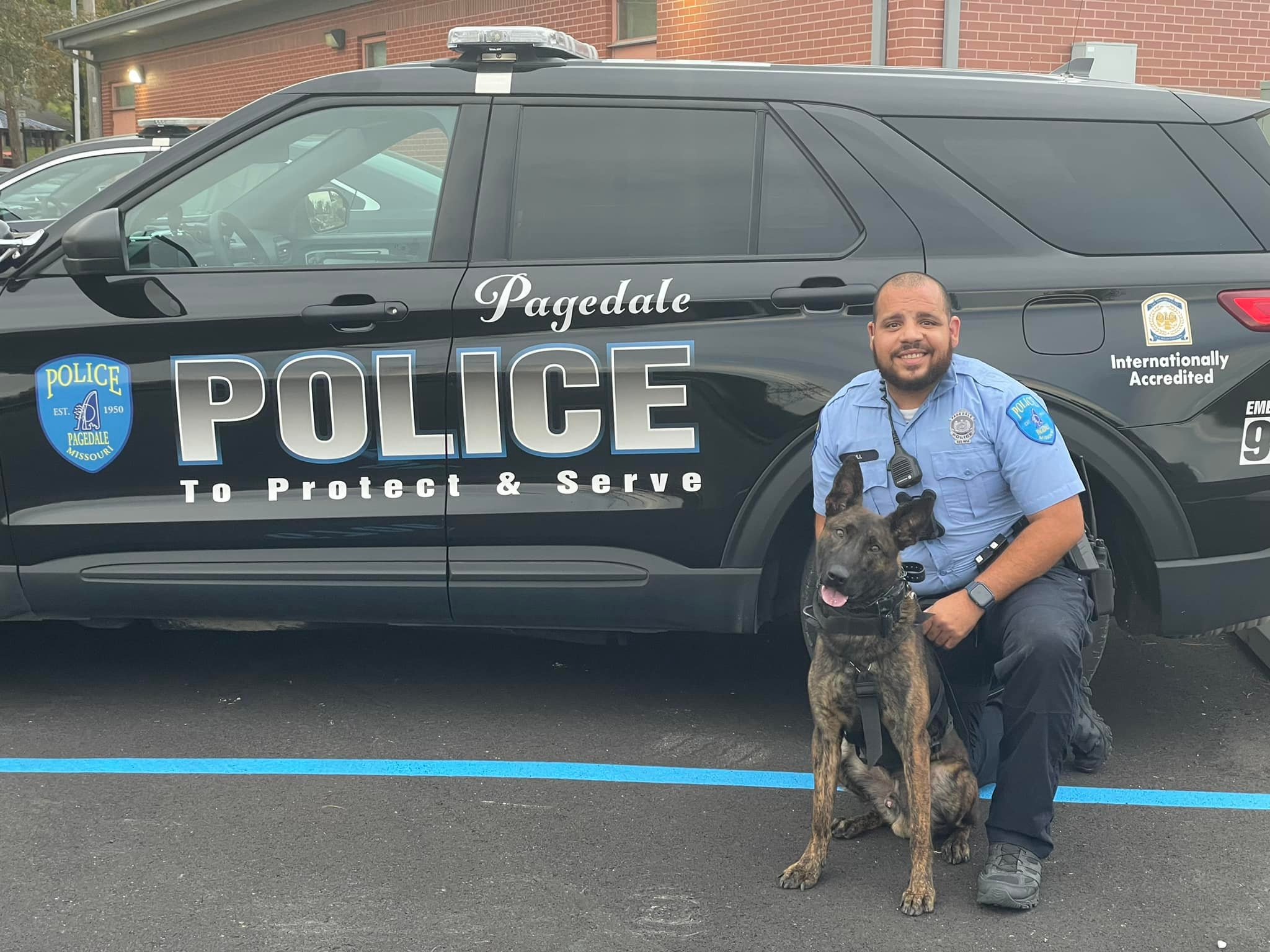Pagedale, Missouri, Police K-9 Raider with his handler Officer Justin Cull. Raider ran away last week in a storm and was recovered Saturday in good health.