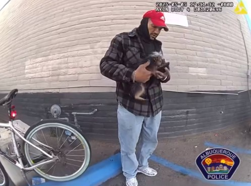 Body camera video from the Albuquerque Police shows a wanted man throw this dog at an officer who was attempting to arrest him.