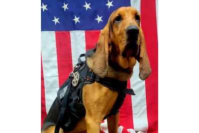 Dade County, Georgia, Sheriff's K-9 overheated in a parked patrol vehicle and died.