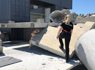 Heidi Sievers, a forensics expert and Columbia Southern University professor, works with her human remains detection K-9. Dogs are often used in search and recover after a natural or man-made disaster.